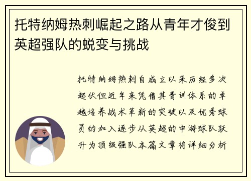 托特纳姆热刺崛起之路从青年才俊到英超强队的蜕变与挑战