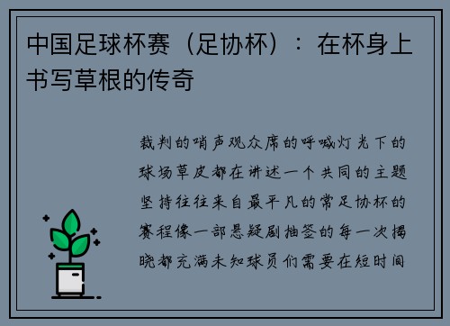 中国足球杯赛（足协杯）：在杯身上书写草根的传奇